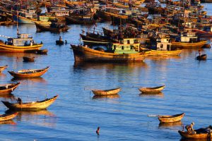 Sông thu bồn tấp nập tàu thuyền ngược xuôi