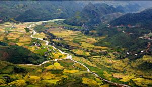 Những cánh đồng lúa ở huyện Sốp Cộp vào mùa