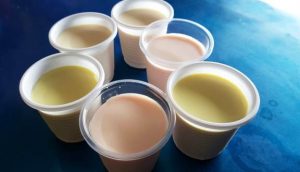 Sữa chu phô mai-món ăn vặt của nhiều bạn trẻ