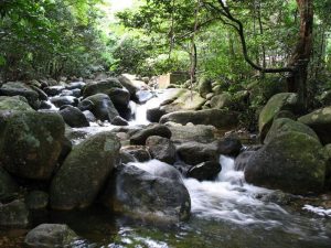 Suối Gỉai Oan ở Yên Tử với câu chuyện đầy thú vị nhưng đau thương
