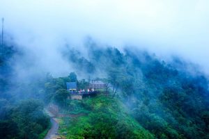 Tam Đảo lảng bảng mờ sương khói