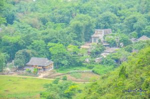 Một bản làng ở Tân Lạc