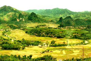 Cảnh đẹp của cánh đồng ở Tân Sơn