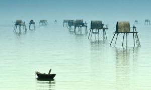 Một thoáng biển Đồng Châu