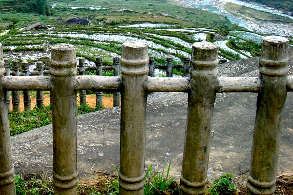 Con suôi nhìn từ bãi đá cổ