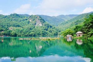 Một không gian xanh hiền hòa, mơ mộng đủ để quên đi những tấp nập của cuộc sống.