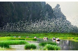 Vườn quốc gia Thung Nham