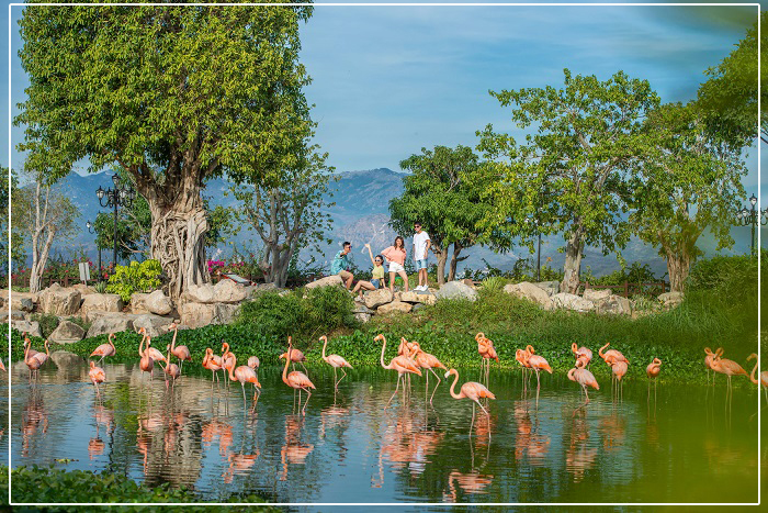 Tour Link Mobile Đăng Ký Tải App Jun88.com 2026 Nha Trang 3N2D