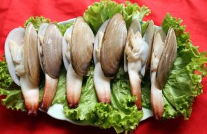 Tu hài đặc sản Vân Đồn