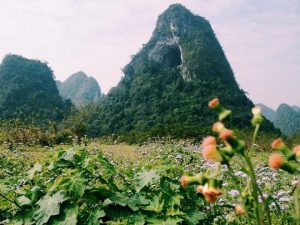 Trong thung lũng có một ngon núi đặc biệt, "núi thủng" nằm giữa đồng hoa đồng nội .Chắc ai cũng muốn lên trên ấy xem nó thế nào