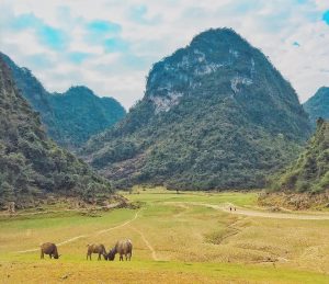Khung cảnh bình yên được bao bọc bởi bốn bên là núi, ỏ giữa là cảnh đẹp mênh mông khiến du khách lạc trôi