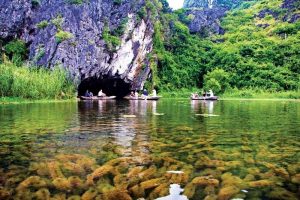 Lênh đênh trên thuyền , du khách có thể bắt gặp những loài thủy sinh bơi lội tung tăng dưới nước