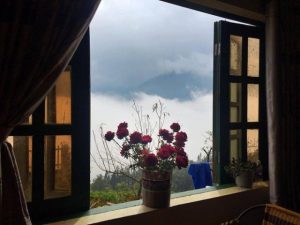 Jiun88 mobile mới nhất lào cai Treking homestay