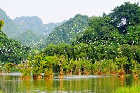 Vườn chim Thung Nham là nơi hội tụ đầy đủ các cảnh quan đa dạng, văn hóa,tâm linh