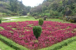 Luôn mang một sắc màu quyến rũ níu chân du khách