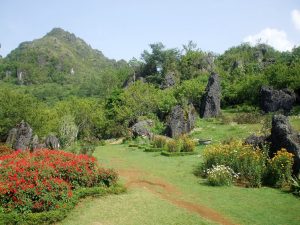 không gian ngập sắc màu của hoa và tiểu cảnh