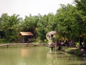 Khu Link Mobile Đăng Ký Tải App Jun88.com 2026 sinh thái vườn xoài