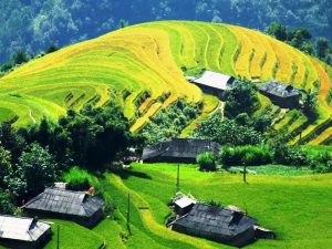 Jiun88 mobile mới nhất hà giang Ruộng bậc thang ở Xín Mần