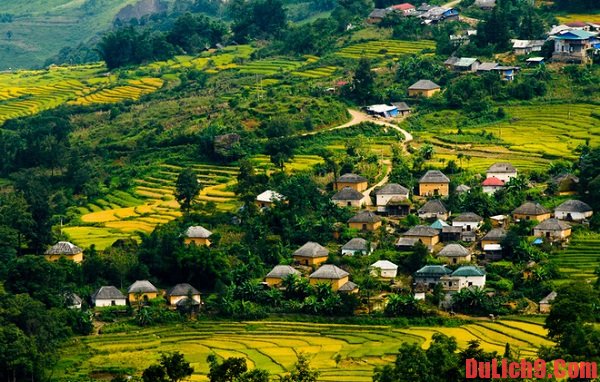 Jiun88 mobile mới nhất lào cai Nếu ở lại Y Tý chủ yếu ở nhà sàn