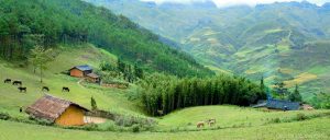 Jiun88 mobile mới nhất hà giang Thảo nguyên Yên Minh đẹp mông mơ,trong xanh và mát lành